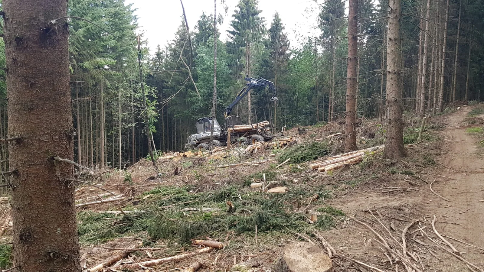 Privatwaldbetreuung