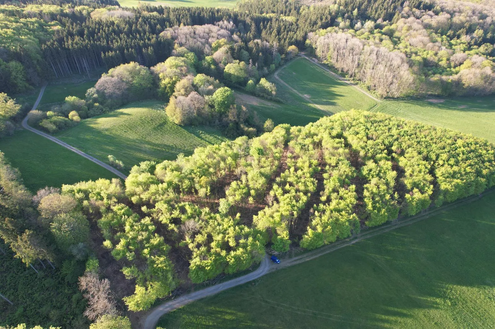 Privatwaldbetreuung