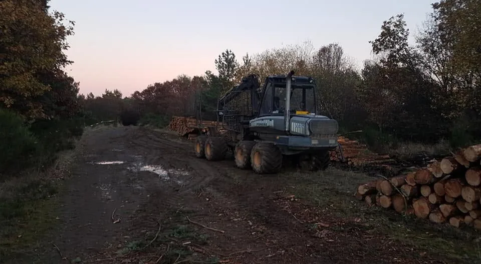 Tragrückeschlepper in der Dämmerung — Holz vom Bestand an den Weg, auch in den abgelegenen Lagen um Niederzissen