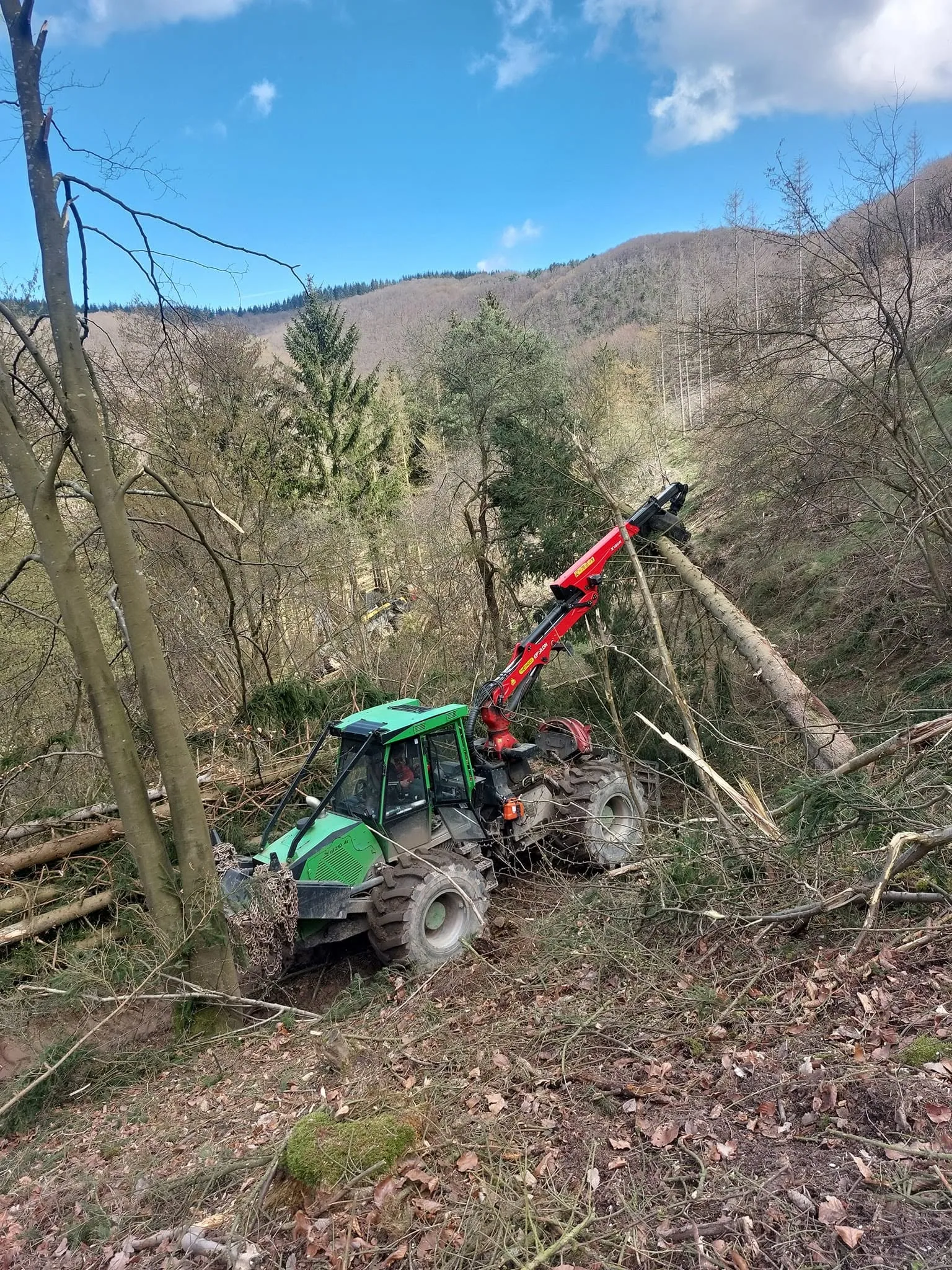 Holzernte an einem steilen Waldhang — Arbeitssituation, wie sie an den Basalthängen um Kelberg üblich ist