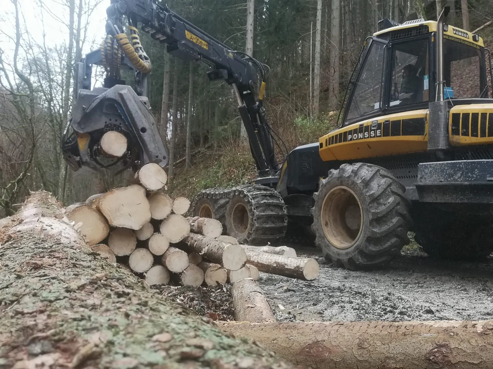 Harvester arbeitet Stammholz an einem steilen Waldhang auf