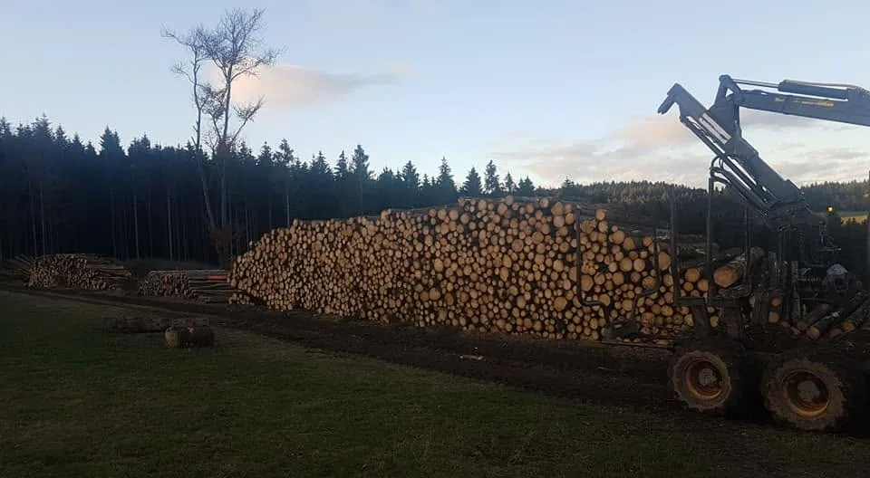 Fertig aufgesetzter Holzpolter am Waldweg