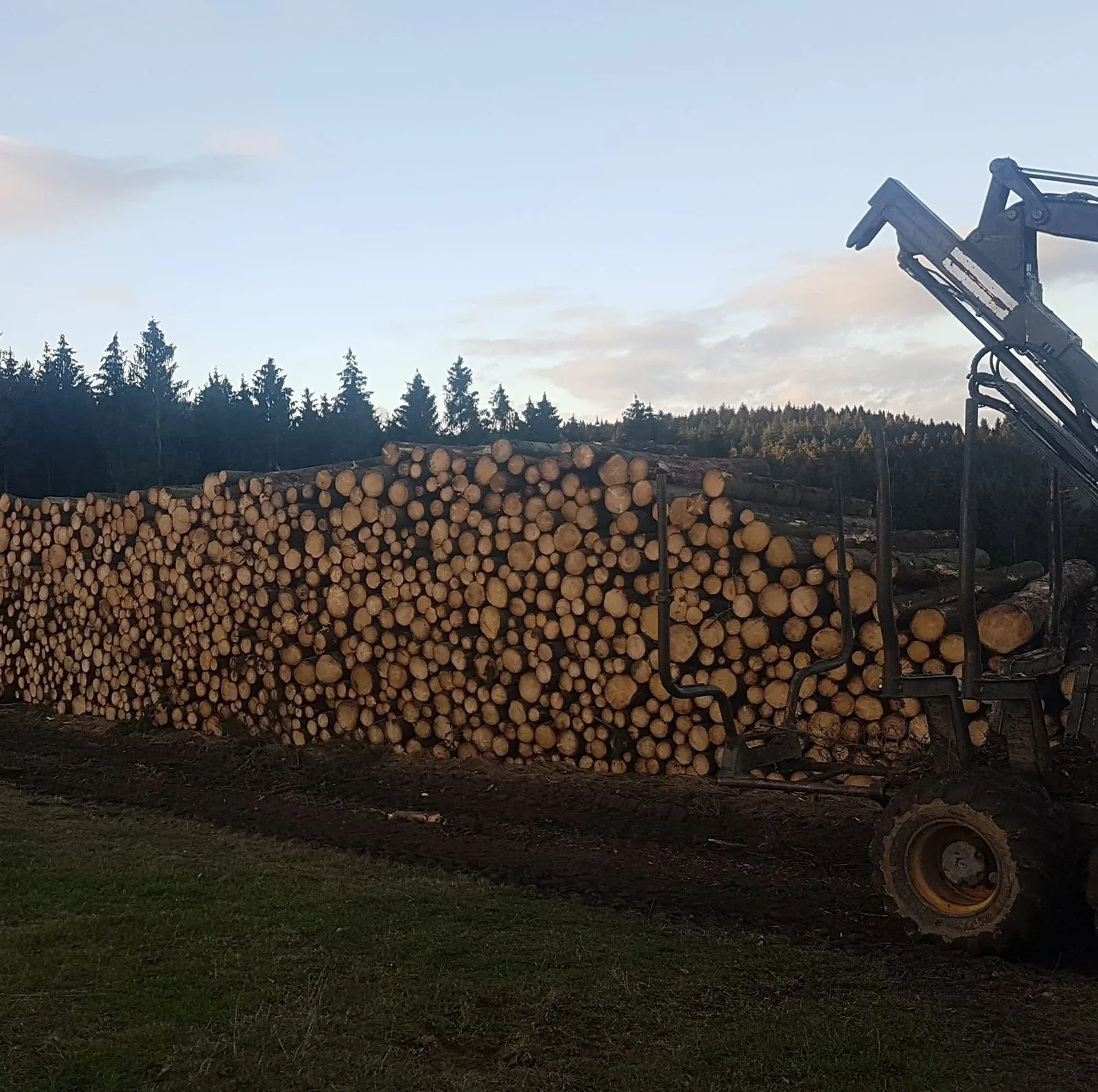 Holzrückung