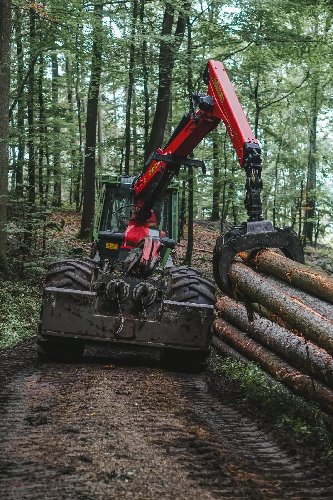 Forstschlepper mit rotem Kran und Rückezange auf einem Waldweg im Buchenwald, wie es ihn auch am Hochkelberg gibt
