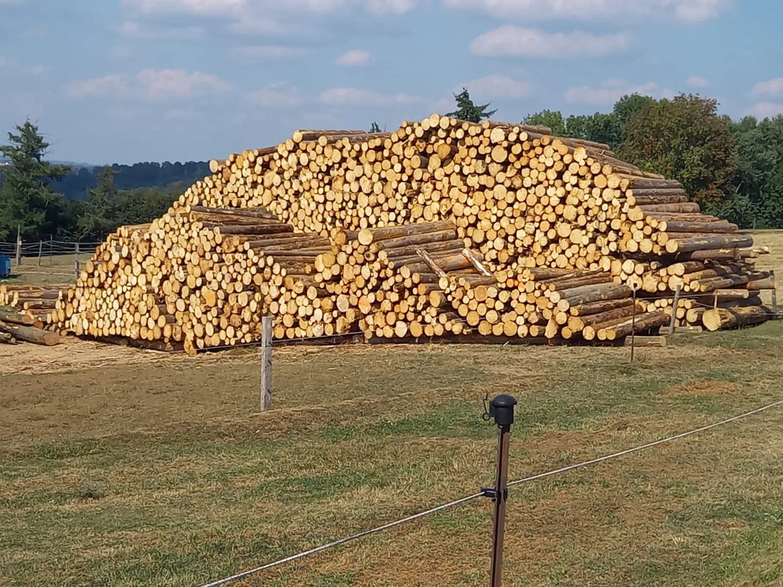 Holzvermarktung