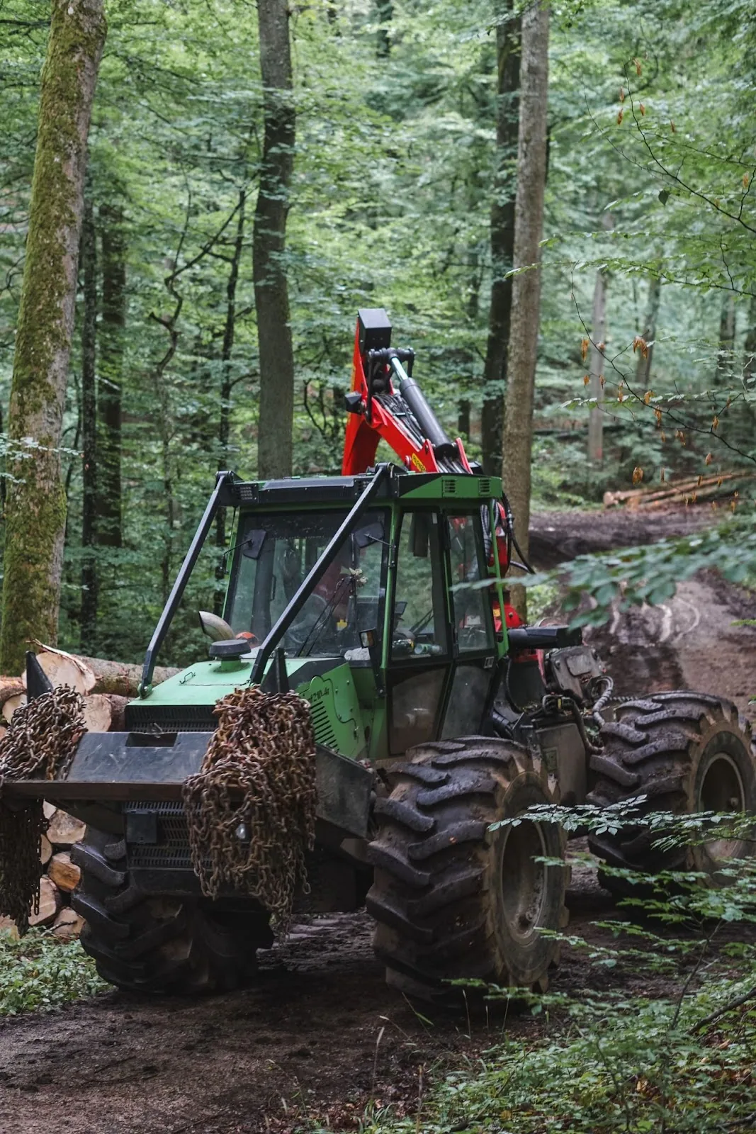 Schlepper mit Rückekran im Buchenwald, vergleichbar den Buchenbeständen am Hochkelberg