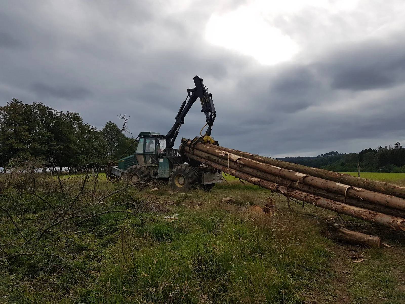 Rückeschlepper zieht Stammholz über eine Wiese unter dramatischem Wolkenhimmel