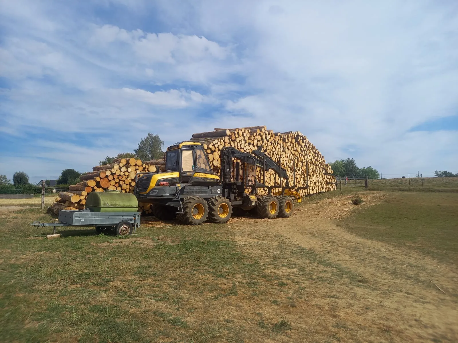 Gelber Rückezug vor einem riesigen Holzstapel (Polter) an einer Wiese